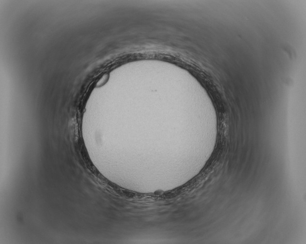 X0000113021493200909241624