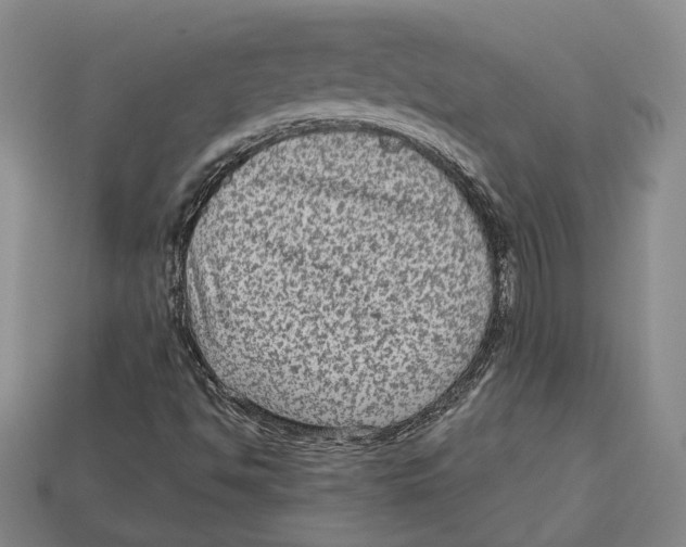 X0000113021494200909241624