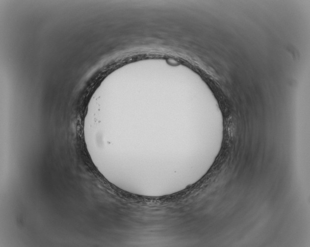 X0000113021495200909241624