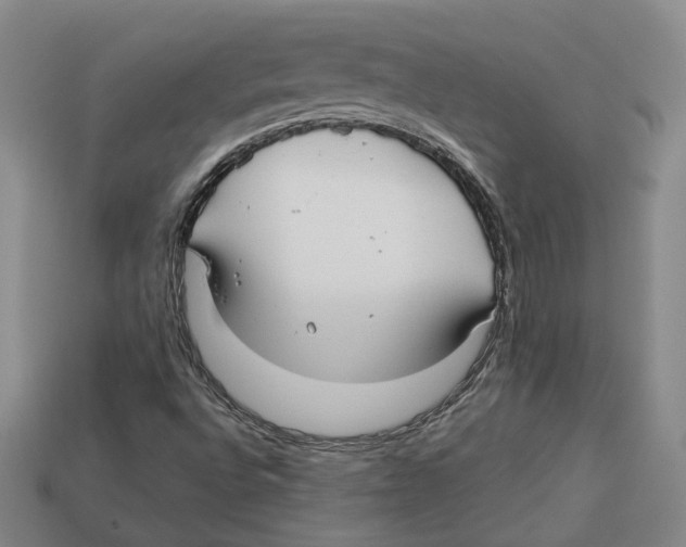 X0000113021496200909241624