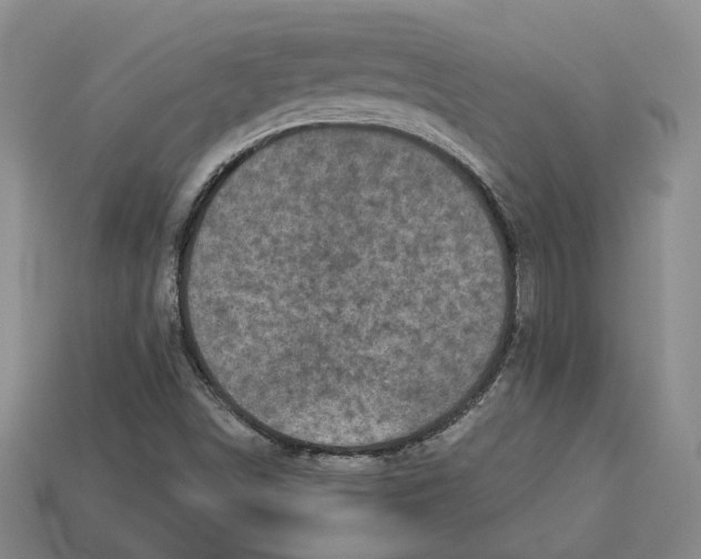 X0000113021498200909241624