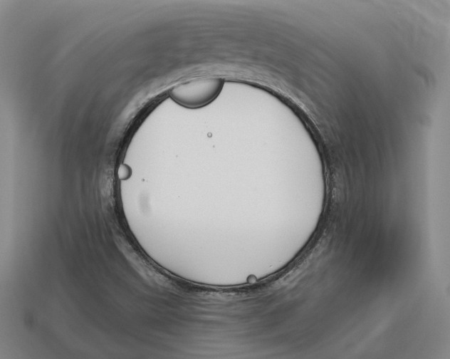 X0000113021499200909241624