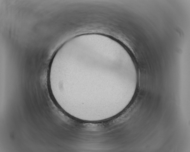 X0000113021500200909241624