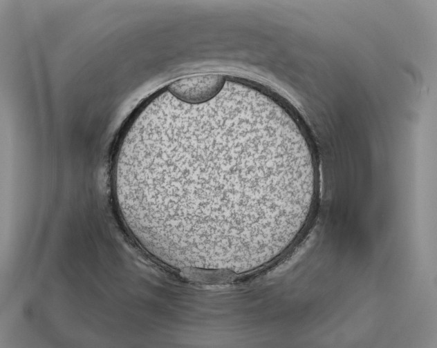 X0000113021501200909241624