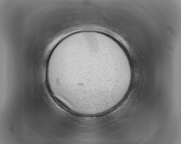 X0000113021504200909241624