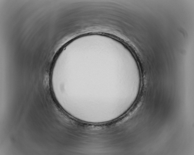 X0000113021505200909241624