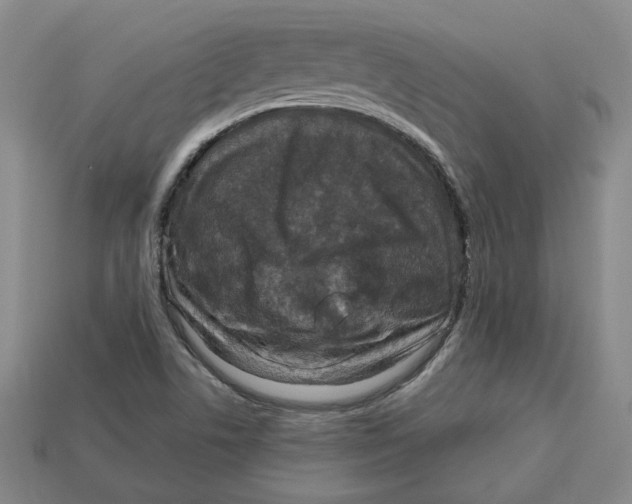 X0000113021506200909241624