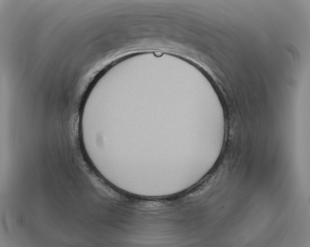 X0000113021507200909241624