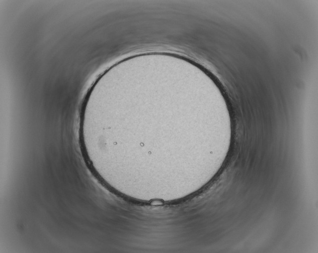 X0000113021508200909241624