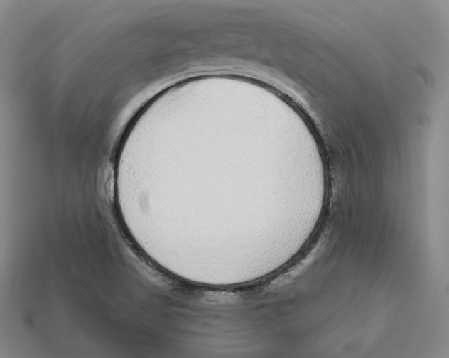 X0000113021509200909241624