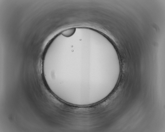 X0000113021510200909241624