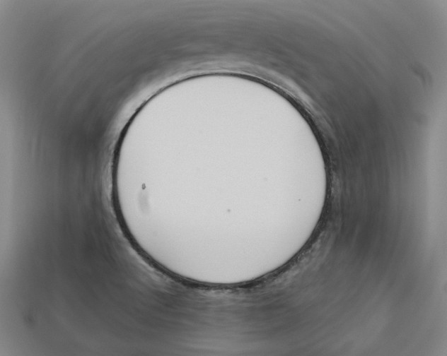 X0000113021512200909241624