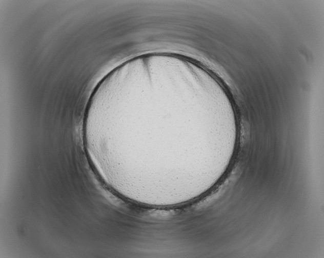 X0000113021513200909241624