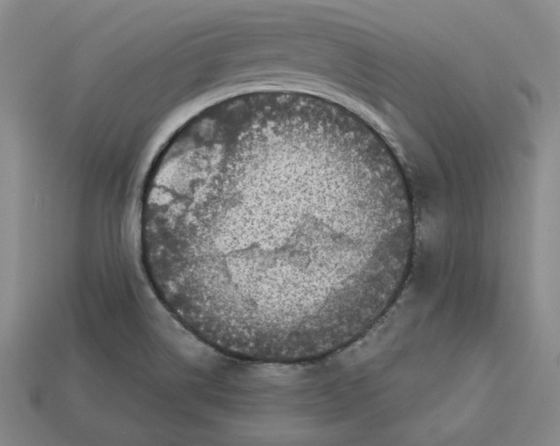 X0000113021514200909241624