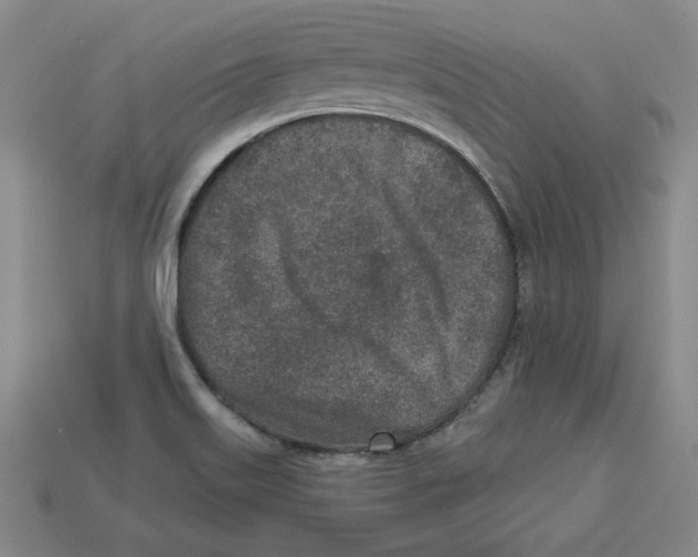 X0000113021515200909241624