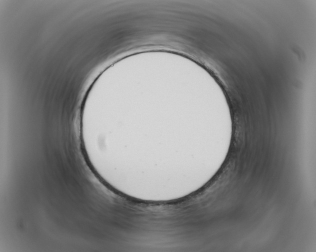 X0000113021516200909241624