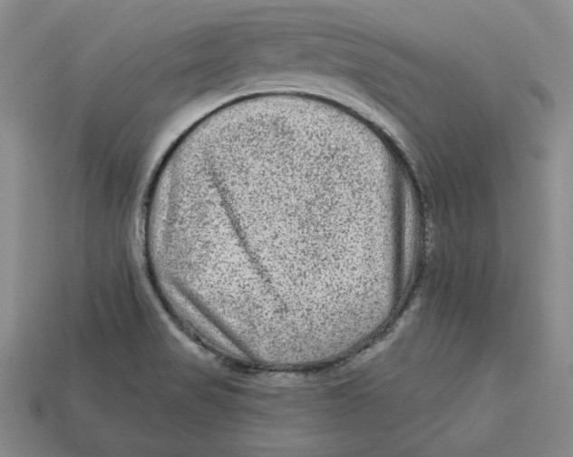 X0000113021517200909241624