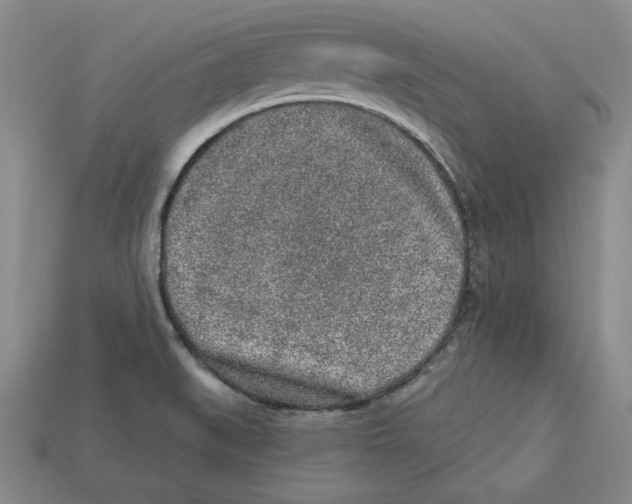 X0000113021519200909241624