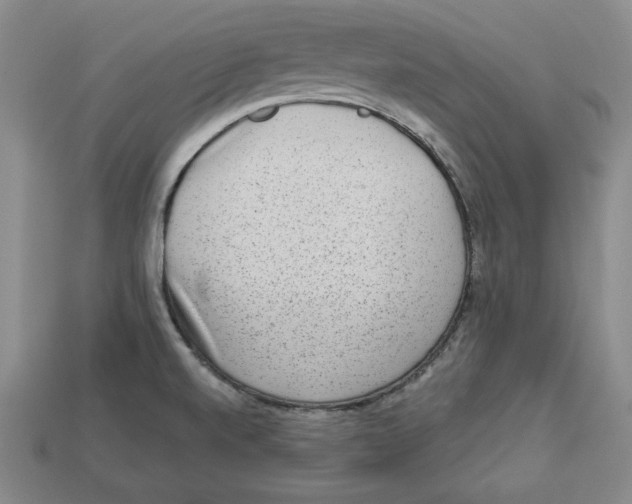 X0000113021520200909241624