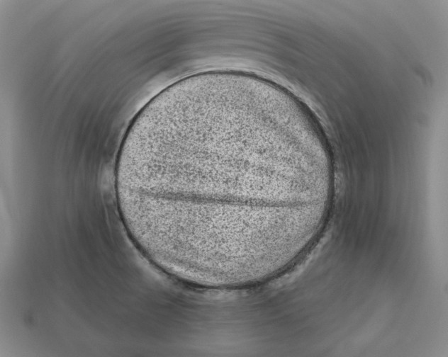 X0000113021521200909241624