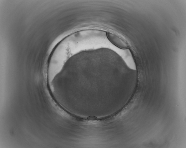 X0000113021522200909241624