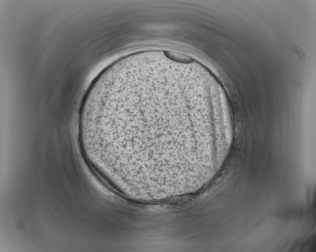 X0000113021523200909241624