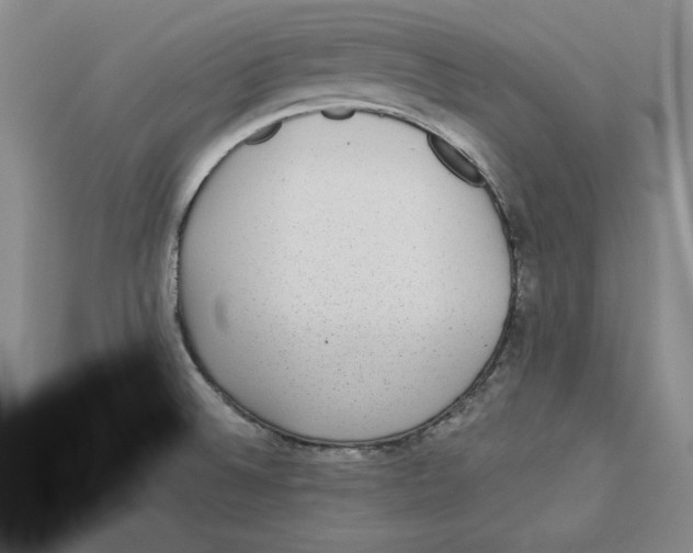 X0000113021524200909241624