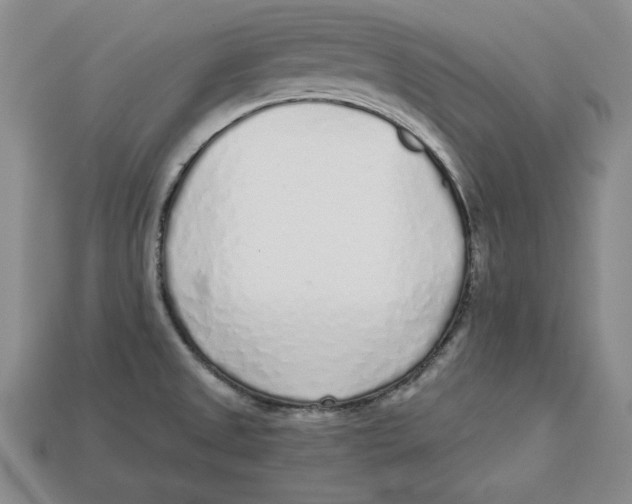 X0000113021525200909241624