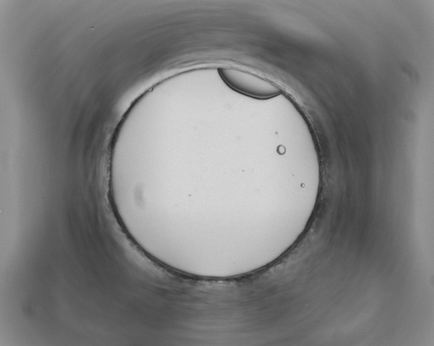 X0000113021526200909241624