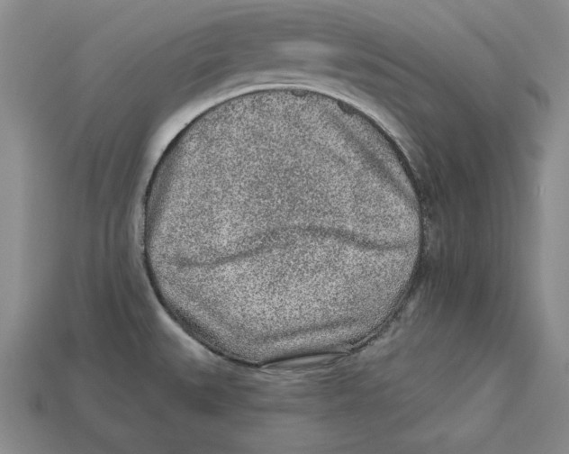 X0000113021527200909241624