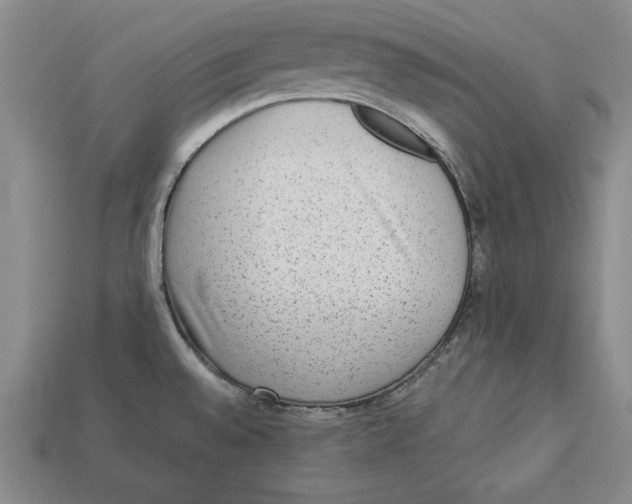 X0000113021528200909241624