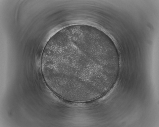 X0000113021529200909241624