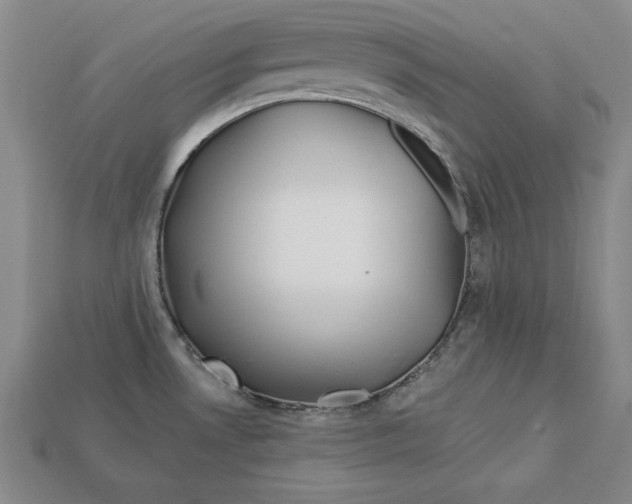 X0000113021530200909241625