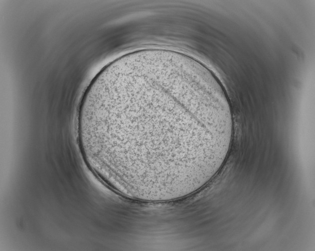 X0000113021531200909241625