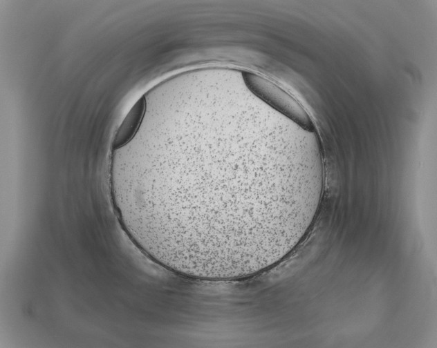 X0000113021532200909241625