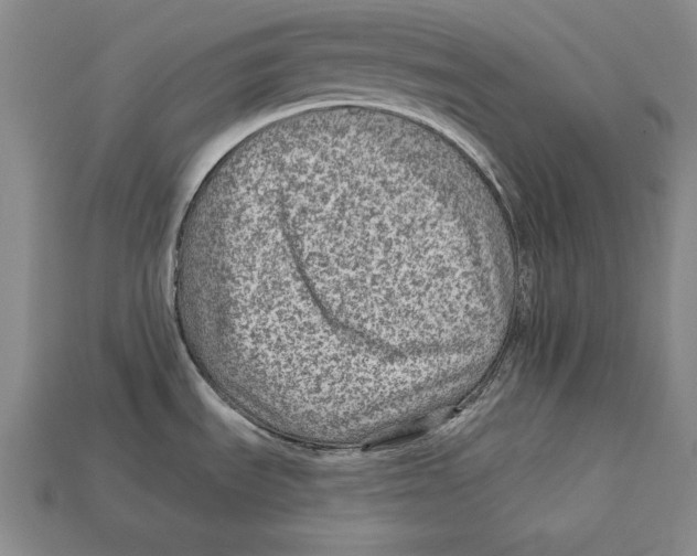 X0000113021535200909241625