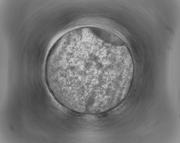 X0000113021536200909241625