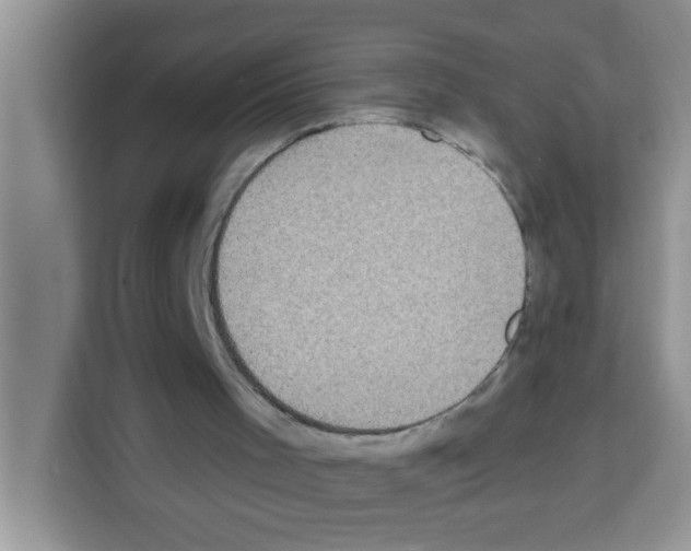 X0000113020001200910081209