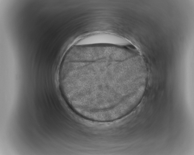 X0000113020002200910081209