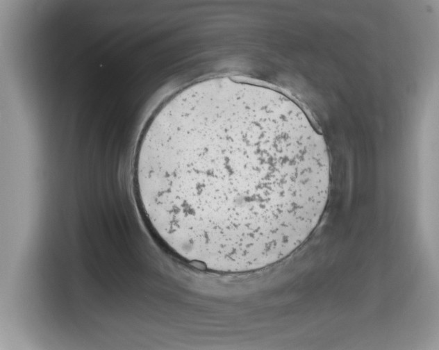 X0000113020003200910081209