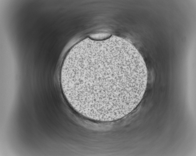 X0000113020004200910081209