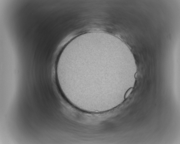 X0000113020005200910081209