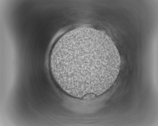 X0000113020006200910081209