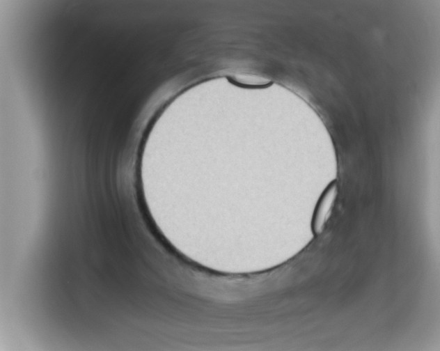 X0000113020007200910081209