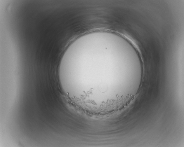 X0000113020009200910081209