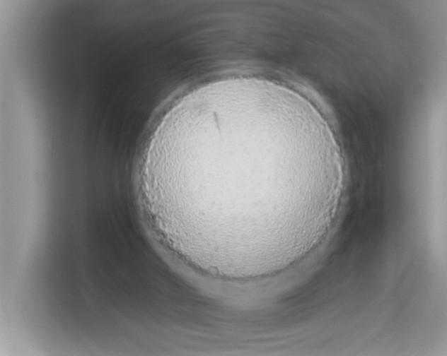 X0000113020010200910081209