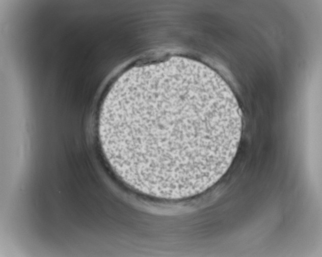 X0000113020012200910081209