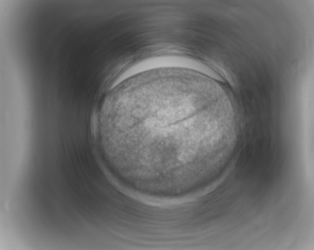 X0000113020014200910081209