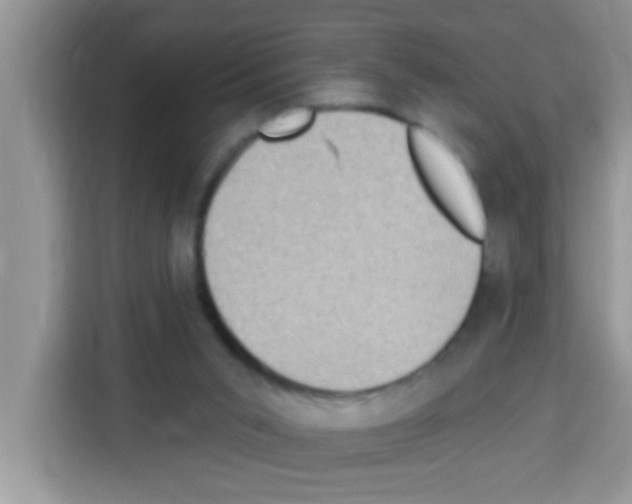 X0000113020015200910081209