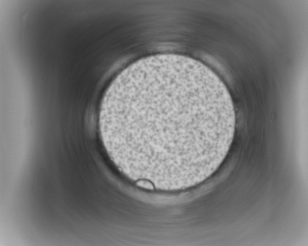 X0000113020016200910081209